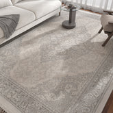 Asterlane White & Soft Gray Rug