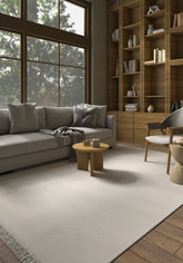 Asterlane White & Soft Gray Rug