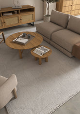 Asterlane Steel Gray & Cyan Blue Rug