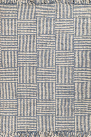 Asterlane Victoria Blue White 5X8 Feet Dhurrie 100% Jute for Living Room,Bedroom,Home