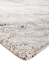  Lysara Ivory & Gray Polypropylene Rug