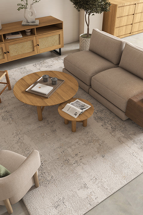 Asterlane Abstract Winter White & Crystal Gray Color Rug - Asterlane