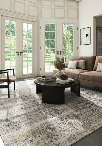 Soft Vintage Rug 4X6 Ft | White Dark Gray Carpet For Living Room, Bedroom, Dining Room