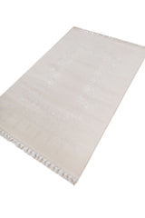 Asterlane White & Soft Gray Rug