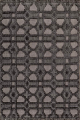 Orvith Charcoal Gray Polypropylene Rug