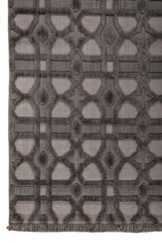 Orvith Charcoal Gray Polypropylene Rug