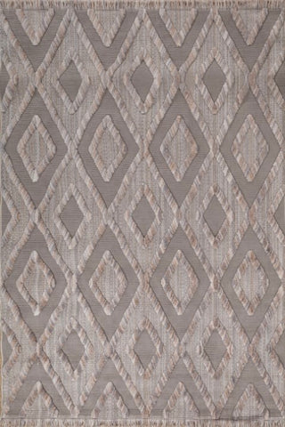 Vareli Taupe Polypropylene Rug