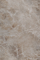 Asterlane White & Marigold Rug