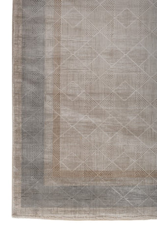 Avenza Gray Beige Polypropylene Rug