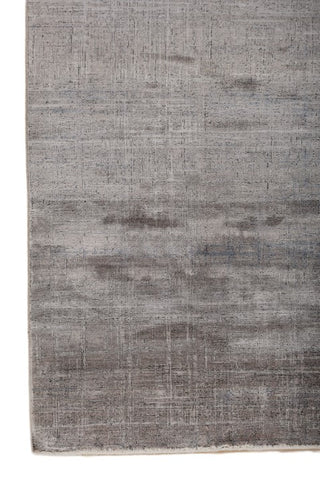 Theryn Steel Gray Polypropylene Rug