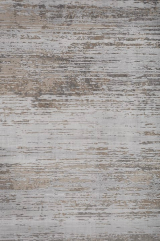 Ravion Beige Gray Polypropylene Rug