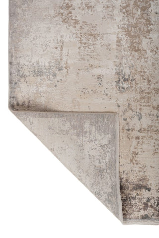 Bravon Beige Gray Polypropylene Rug