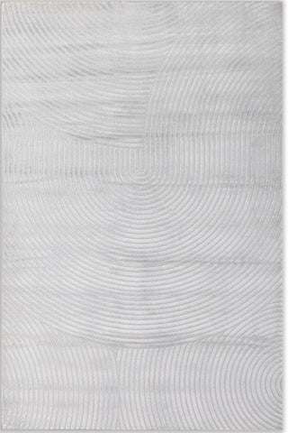 Asterlane Modern Light Gray & Mineral Gray Color Rug - Asterlane